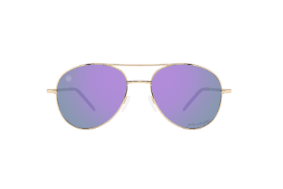 FS01PRV - Aviator Style Sunglasses w/Premium Polarized Lens