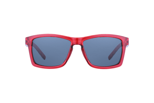 8231 -  PC SPORTS STYLE SUNGLASSES